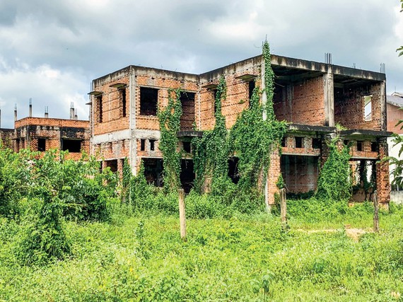 Regulations holding up real estate market growth